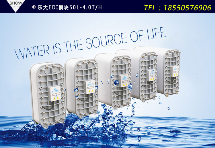 东大EDI膜块0.5-4T/H